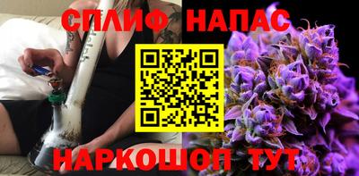 дмт Сланцы